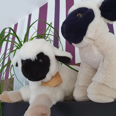 Casa Maria In An Der Rhoen By Interhome بيت للعطل