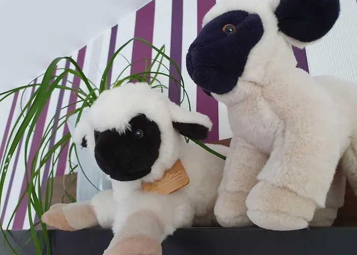 Casa Maria In An Der Rhoen By Interhome Hébergement de vacances